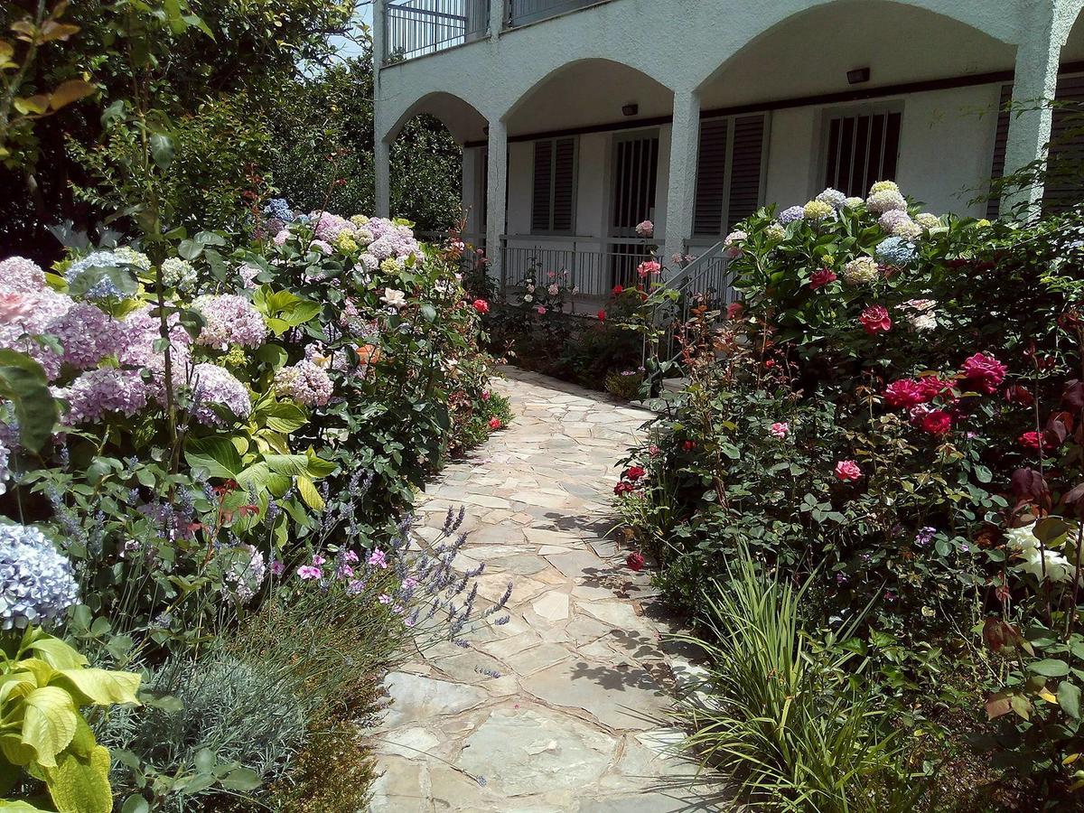Margarita Apartments Preveza Ngoại thất bức ảnh
